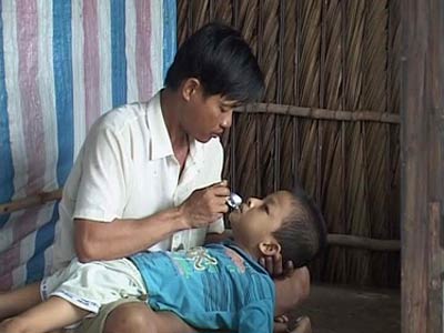 Gà Trống Nuôi Con