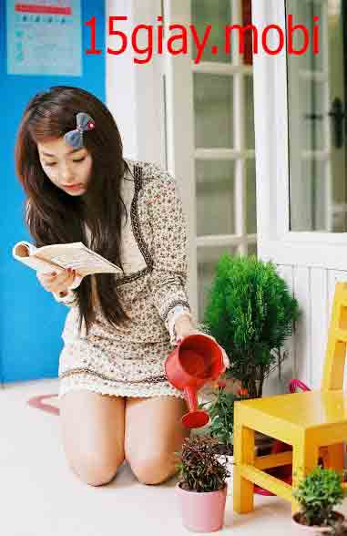 [Truyện Tình Cảm] Hoa Tuyết