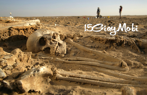 [Ký sự] Chuyển mộ