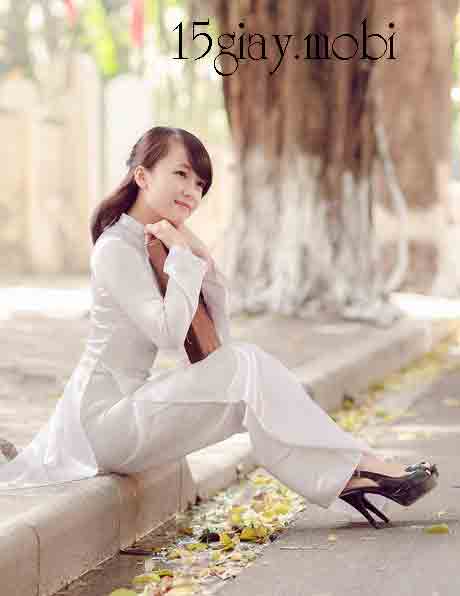 Những cánh hoa bay